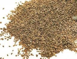 Carom Seeds