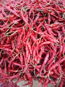 dry red chili
