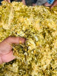 Cow Feed Corn Silage
