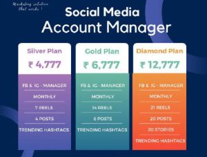 Social Media Account Manager