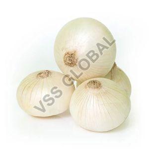 Fresh White Onion