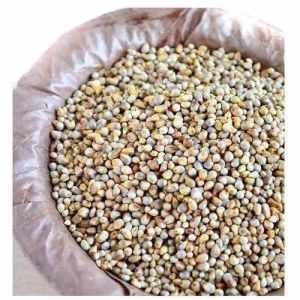 Natural Pearl Millet