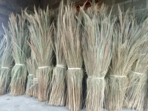 Assam broom
