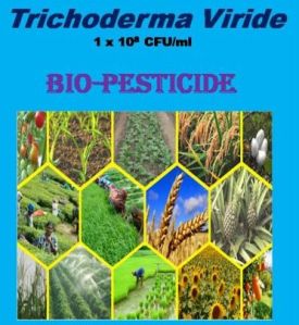 Trichoderma Viride Bio Pesticide