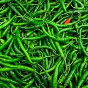 Organic green chili