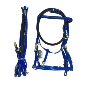 leather bridles
