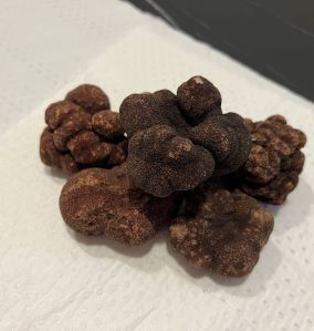 FRESH TRUFFLES