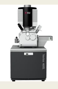 FEI Verios scanning electron microscope