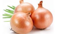 onion