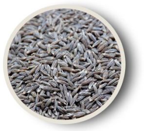 cumin seeds