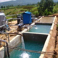 Water Clarifier System