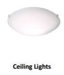 ceiling light