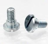 SS Step Screw