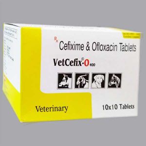 VetCefix-O Tablets