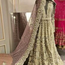 Customize Design Hot Pakistani Bridal Lehenga