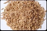 Rice Seeds