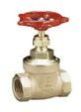 GATE VALVE  BRASS & PE VALVES