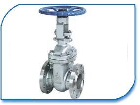 Stainless Steel Gate Valves, Color : Grey