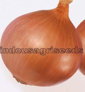 Onion Hybrid Seeds