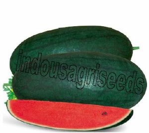 Indo Us Ritu Baby Watermelon F1 Hybrid Seeds