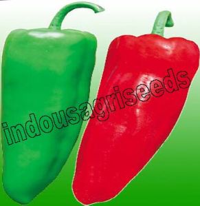 Indo Us Ruma F1 Hybrid Pepper Seeds