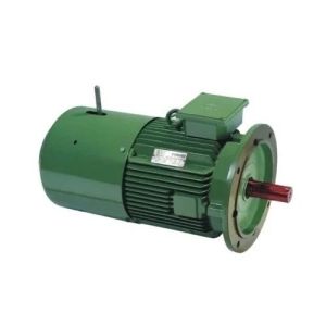 Hindustan Three Phase Electric Motor