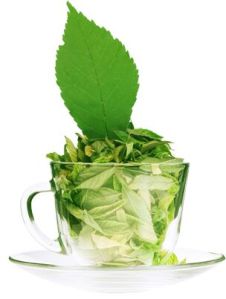 Stevia Tea Leaves Sweetener