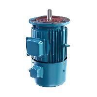 Inverter Duty Motors