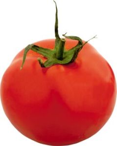 fresh tomato