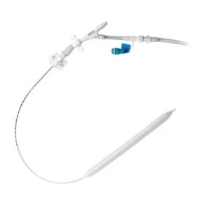 Balloon Catheter