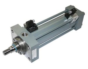 hydraulic cylinder