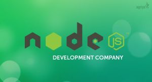 Node Js Development Service
