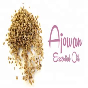 Ajowan Oil Ajowan Essential Oil From BORG