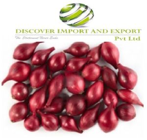 India onion export