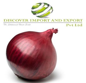 tamilnadu onion supplier