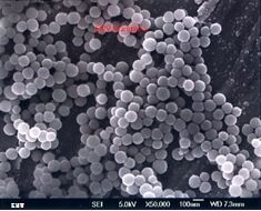 Colloidal Silica