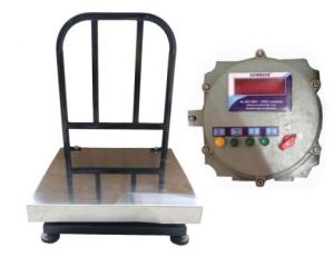 SS Platform Scale with Flame Proof Indicator 600 x 600 200 Kg