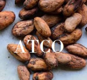 Cocoa Beans Ivory Coast,well Fermented