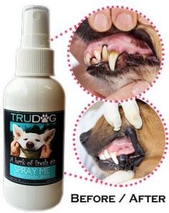 TruDog 100% Natural Dog Dental Spray