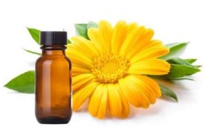 Calendula Oil