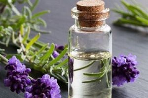 lavender oil