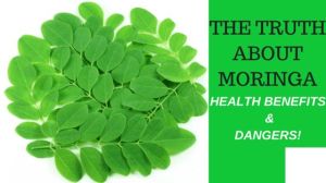 moringa leaf,  Drying Process : Sun Dry