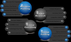 Business Planning Consultant