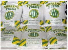 Choline Chloride Chicken Feed