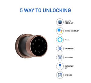 Ozone OZ-FDL-11-Life Smart Lock with Google Assistant &amp;amp; Alexa Enabled