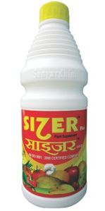 sizer