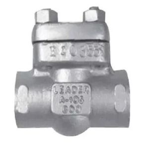 Cast Iron Leader Check Valve