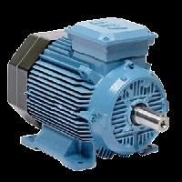 dual speed induction motor