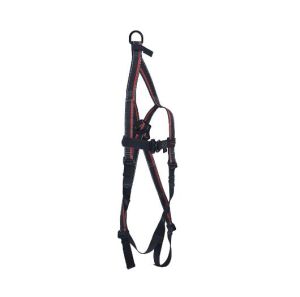 Rescue Harness with 3 Adjustment &amp;amp; 2 Attachment Points