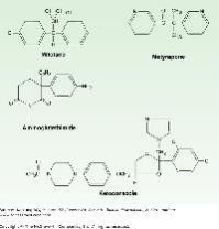 Methyl Parednisolone Sodium Succinate 40/125/500/1000mg